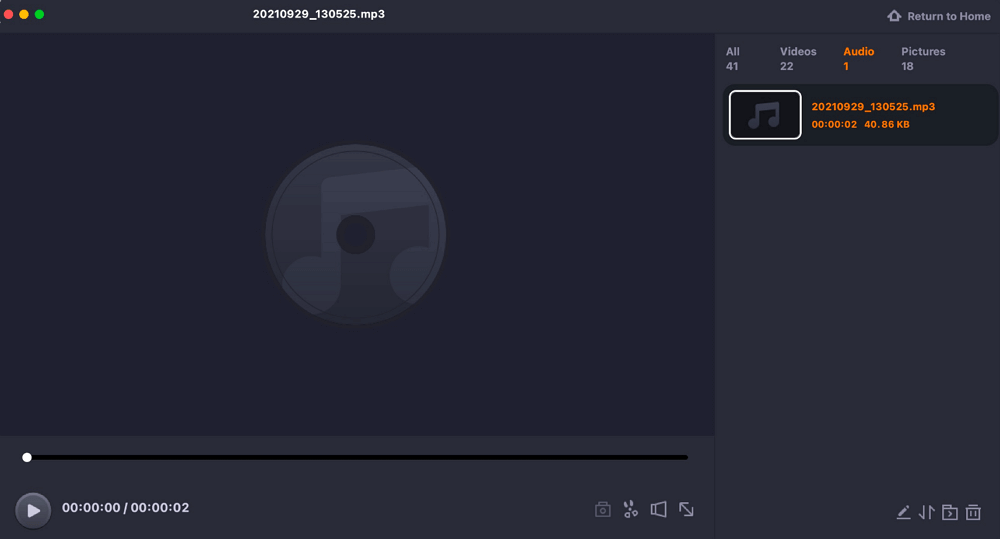 View audio recording
